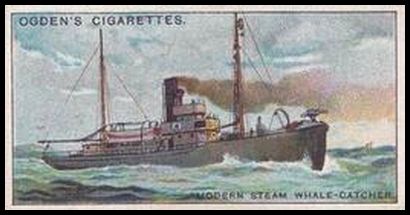 24 Modern Steam Whale Catcher